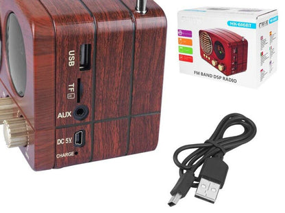FM Radio Retro Lautsprecher AUX Bluetooth USB/SD/TF MP3 mit Akku Holz Gehäuse