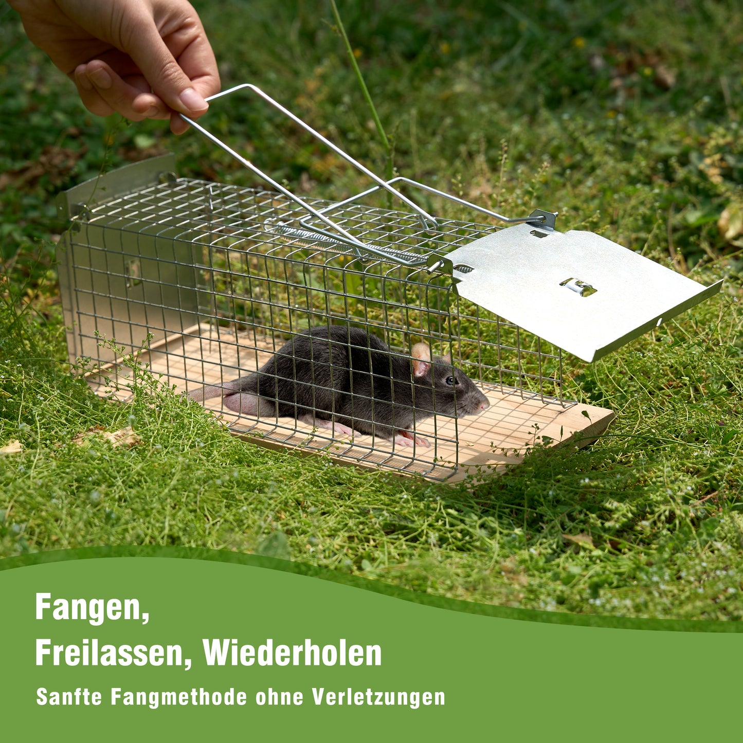 Rattenfalle Lebend Mausefalle Lebendfalle Wiederverwendbar Schädlingsbekämpfung