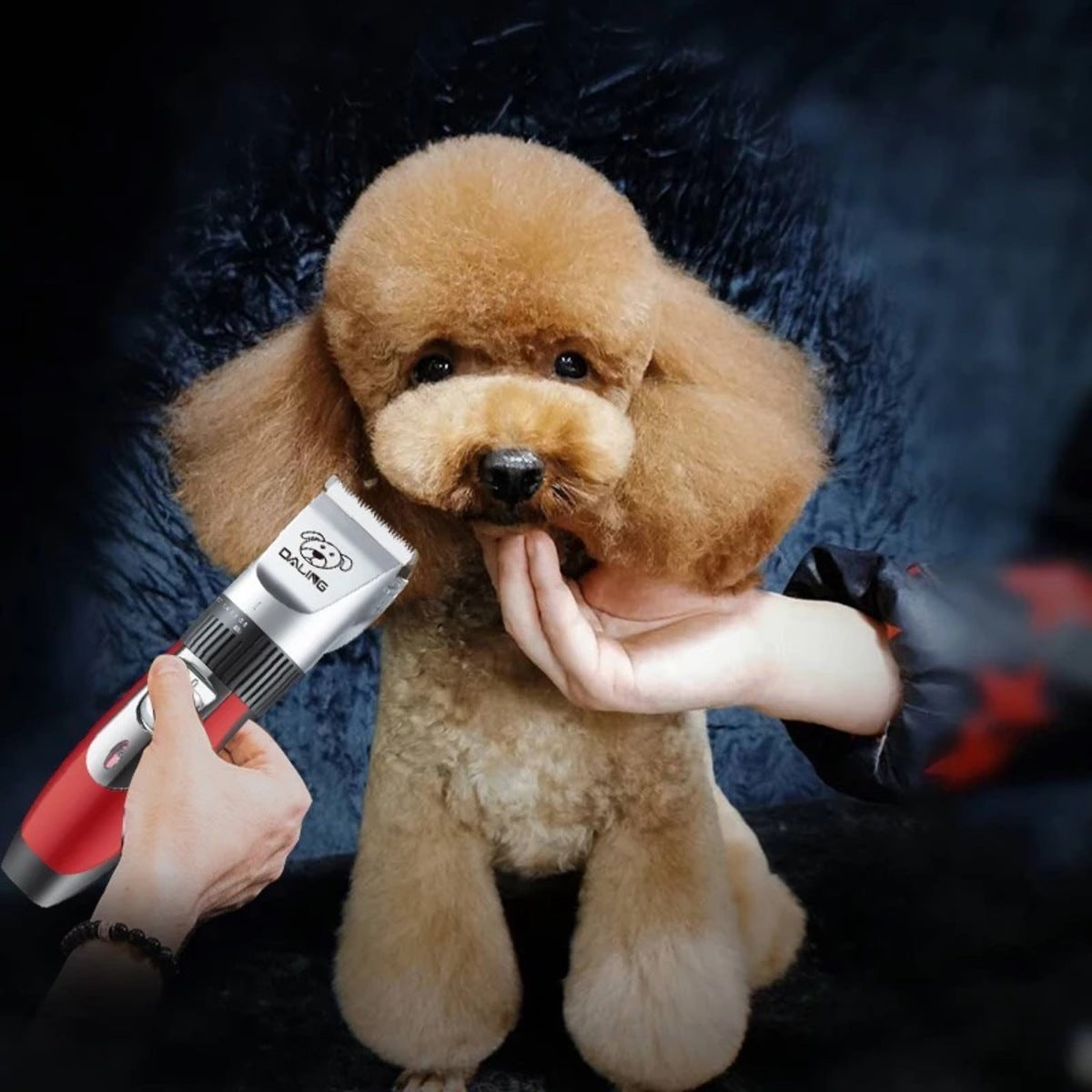 Profi Schermaschine Hunde Tierhaarschneidemaschine Leise Tierhaarschneider Haar
