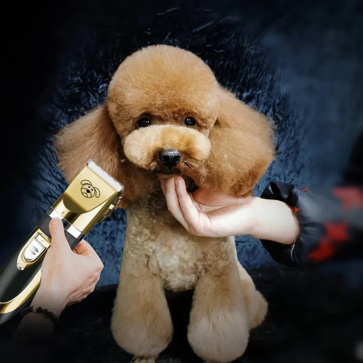 Profi Schermaschine Hunde Tierhaarschneidemaschine Leise Tierhaarschneider Haar